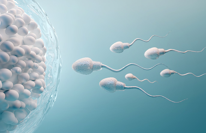 Fertilidade Masculina - Dra. Laís Fonseca